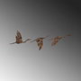 Wallity Rusty Birds 1 Decoración de Pared de Metal